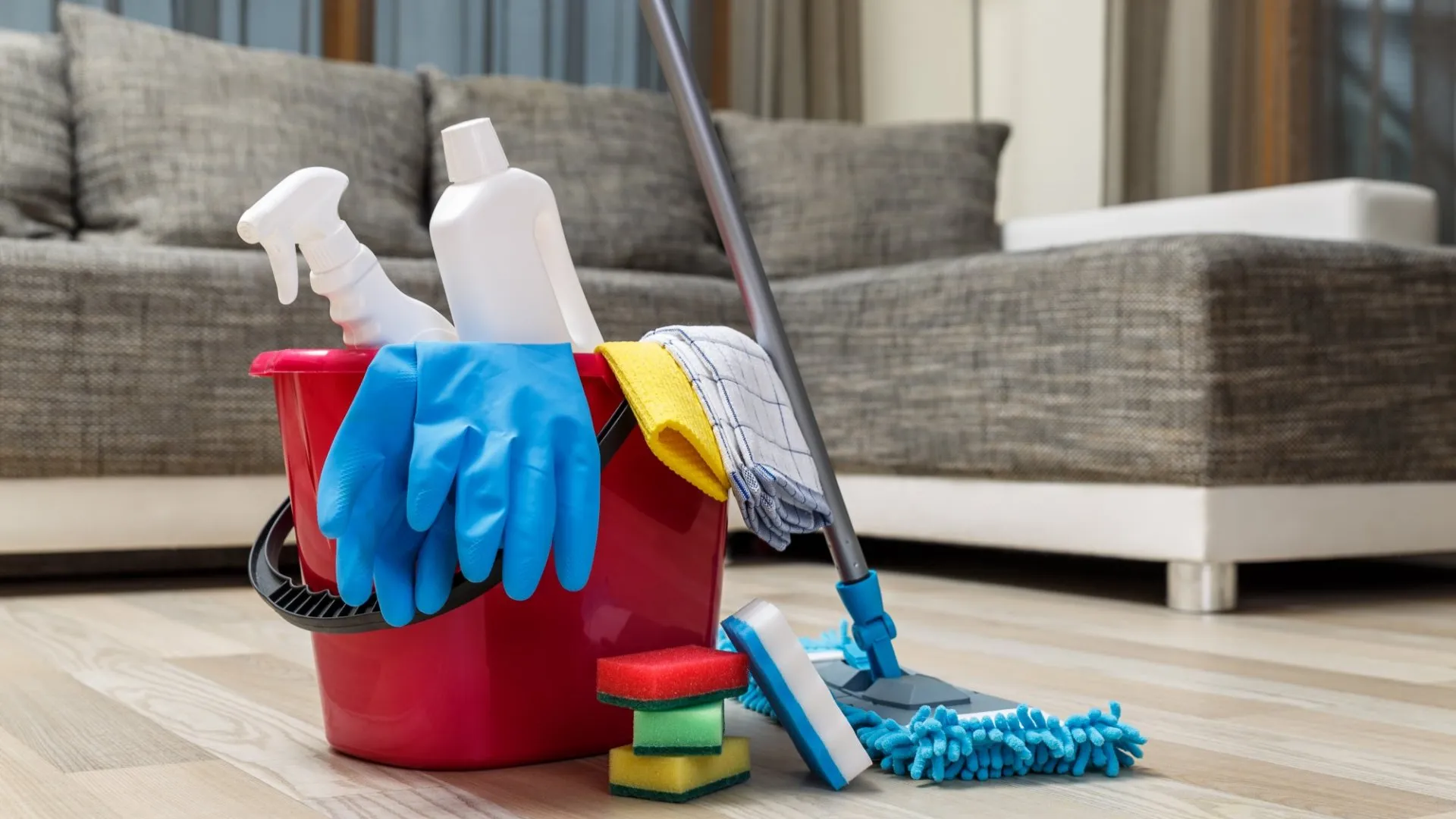 Regular Cleaning